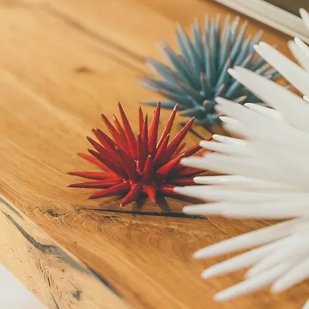 La Pergola Gæstehus Polignano a Mare